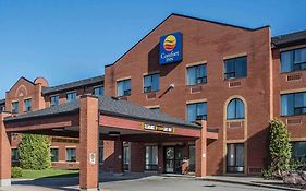 Comfort Inn Port Hope